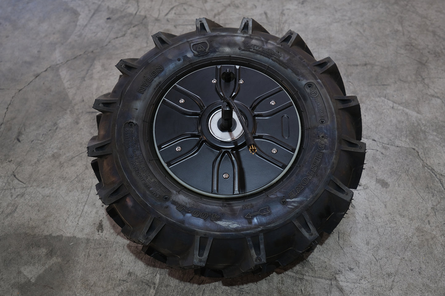 Amiga Motor & Tire